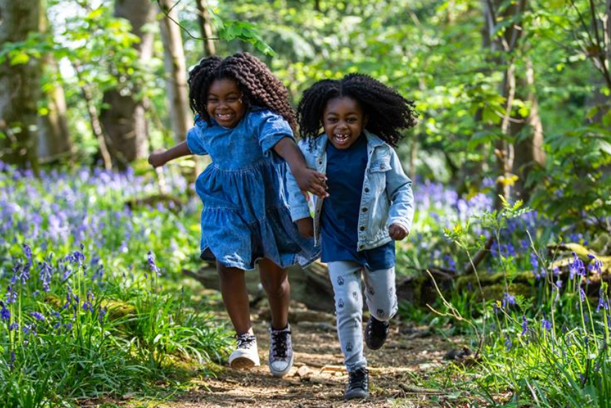 Spring at Westonbirt